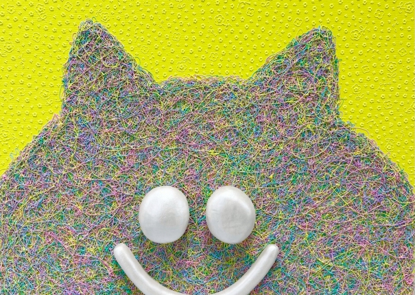 Close up / Cats / Yellow and colorful