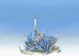 My First Blue Greeting(圖)