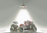 The Tree That Embraces the Light(圖)