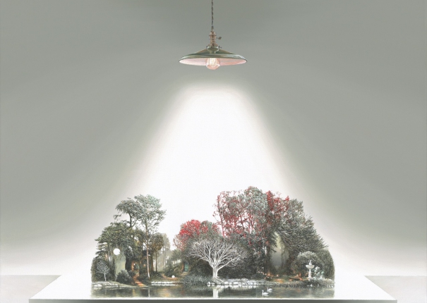 The Tree That Embraces the Light