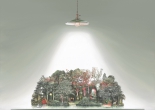 Where Light Decides to Stay(圖)