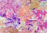 夢裡的花園-絢麗 13-1(圖)