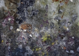 Post-contemporary Expressionism #227